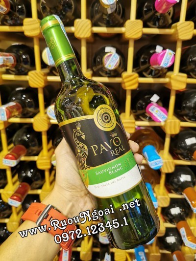 SÂM BANH – “VANG NỔ” TRỜI PHÁP